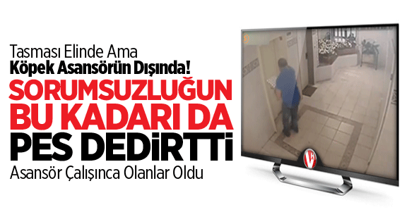 Bu Kadar Da Olmaz Dedirtti