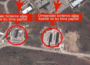 ODTÜ'nün Orman Katliamına Suç Duyurusu
