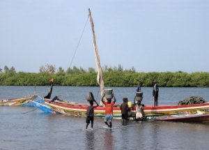Balıkçılık Senegal’in En Gözde Mesleği