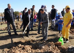 Kütahya'da 'Ceviz' Seferberliği