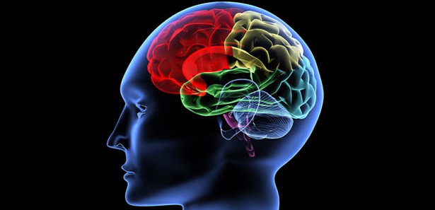 ABD Beynimizi Okuyacak