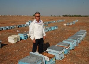 Arısına Güvenen Yarışmaya Katılacak