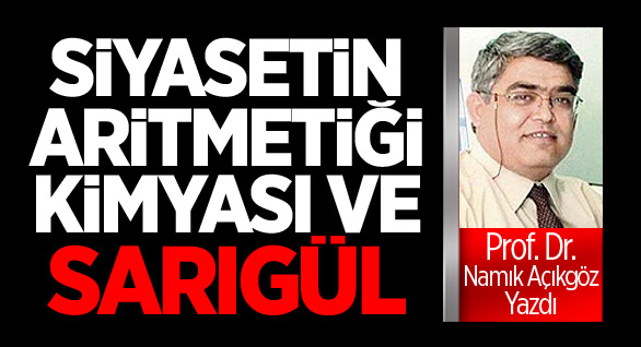 Siyasetin aritmetiği, kimyası ve sarıgül