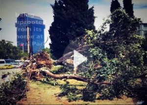 Sosyalist Enternasyonal'de Gezi Propogandası