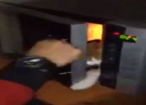 Kediyi Mikrodalga Fırına Attı!