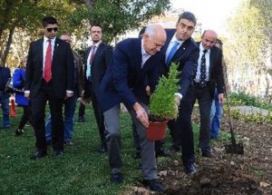 Gezi Parkı'na Yunan Tohumu!
