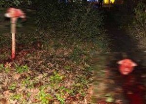 Almanya'da Camiye Çirkin Saldırı