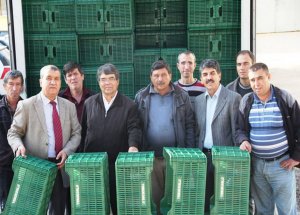 Fabrikalara Zeytin Kasası Dağıtıldı