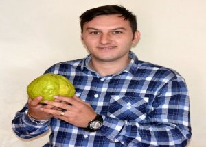 1 Kilo 86 Gramlık Armut Görenleri Şaşırtıyor