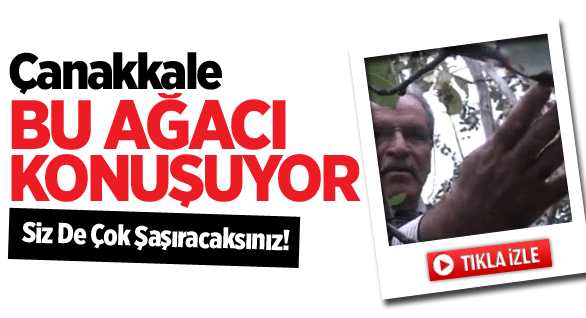 Aynı Ağaçta 7 Meyve