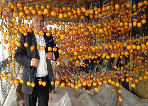Fındık Yoksa Hurma Var