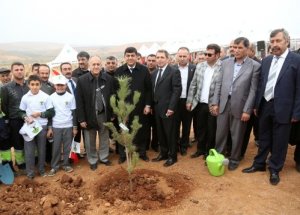 Şehitkamil’de 10 Bin Fidan Toprakla Buluştu