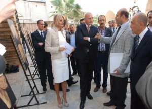 Şuro, Göbeklitepe Kazıları İçin Destek İstedi
