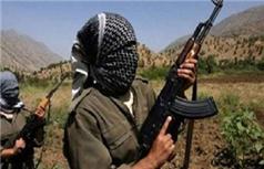 PKK'lılar Askeri Malzeme Taşıyan Kamyonu Ateşe Verdi