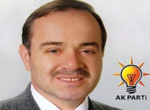 15 üniversite bitirdi, şimdi aday adayı