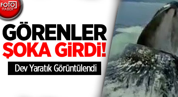 Dev Yaratık Görüntülendi