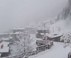İsrailli turistler Ayder’de kayboldu
