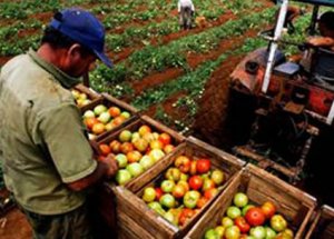 Kar Yağışına En Çok Onlar Sevindi