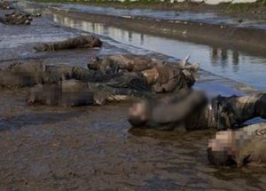 12 Kişiyi İnfaz Ettiler