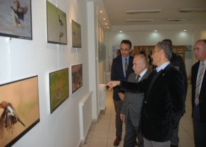 Kuş Cenneti Zonguldak
