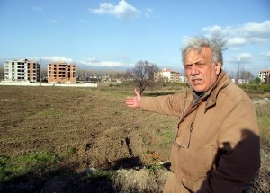Mandalina Ağaçlarını Çaldılar
