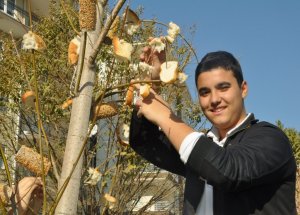 Bir Dilim Ekmek, Bir Can
