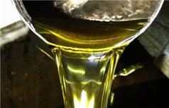 Zeytin yağı fiyatları tavan yaptı