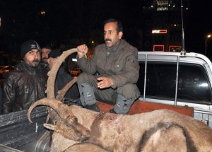 Kaçak Avcılar Yakalandı