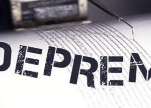 Van'da Korkutan Deprem