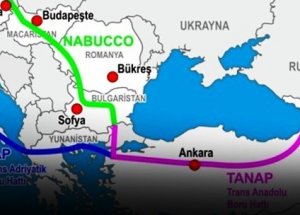 Türkiye'nin TANAP'taki Oyu Yüzde 30 Oldu