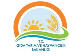 Tatil İşini Sevdiler!