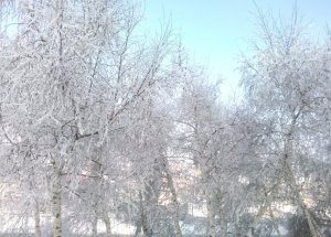 Erzurum’dan Muhteşem Kar Manzaraları