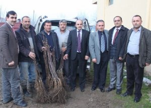 Düzce’de Meyvecilik Destekleniyor