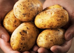 Patates Fiyatları Düşecek mi? Bakanlık Açıkladı