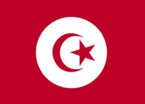 Tunus Başbakanı İstifa Etti