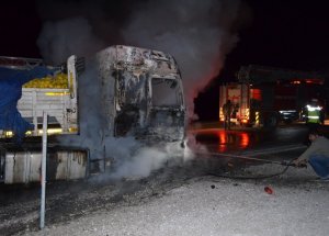 Tır'da Başlayan Yangın Ormana Sıçradı