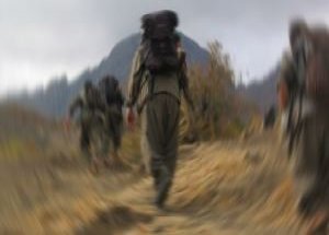 PKK'lı Teröristler Muhtar Kaçırdı
