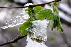 Meteoroloji'den Don Uyarısı!