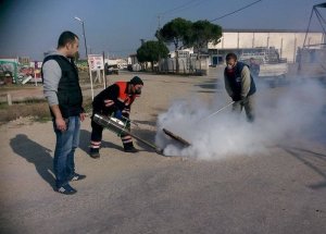Kış Ayında Sivrisinek Mücadelesi