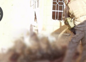 Dünyayı Dehşete Düşüren Görüntü!