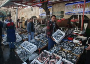 Balık Fiyatları Arttı, Esnaf Şikayetçi
