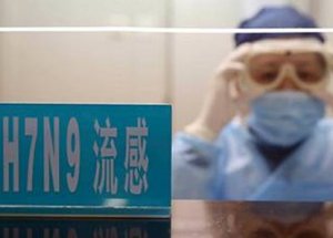 Korkunç Kuş Gribi Tehlikesi!