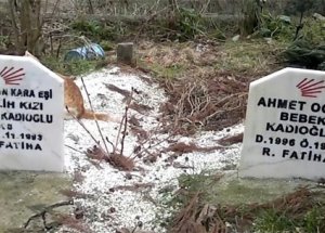 Mezar Taşlarına CHP Mührü