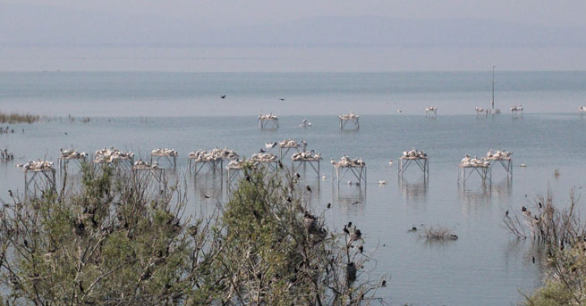 Manyas Gölü, 200 metre çekildi