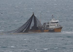 Sarı Deniz'de Bir Çinli Balıkçı Öldürüldü