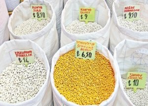 Lobi Yakayı Ele Verdi