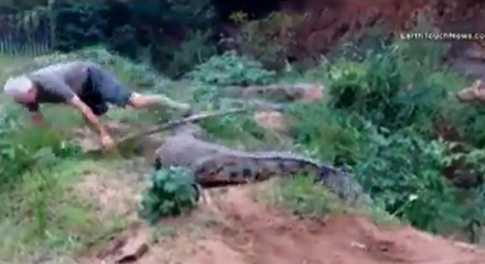 Timsah, Yaşlı Adamı Tek Hamlede Kaptı...