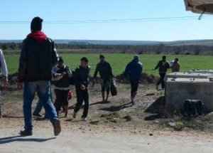 Yalın Ayak Türkiye'ye Kaçıyorlar