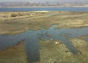Sapanca Gölü İçin Dernek Kuruldu