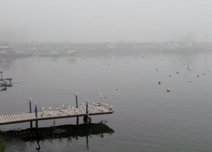 Akçakoca Sahillerinde Yoğun Sis